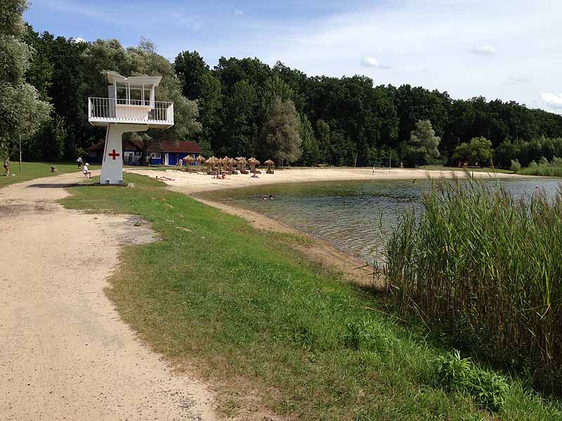 Nymphensee (Brieselang, Brandenburg)