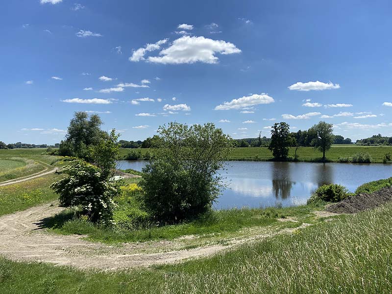 Der Badesee Oberachdorfer Weiher bei Regensburg