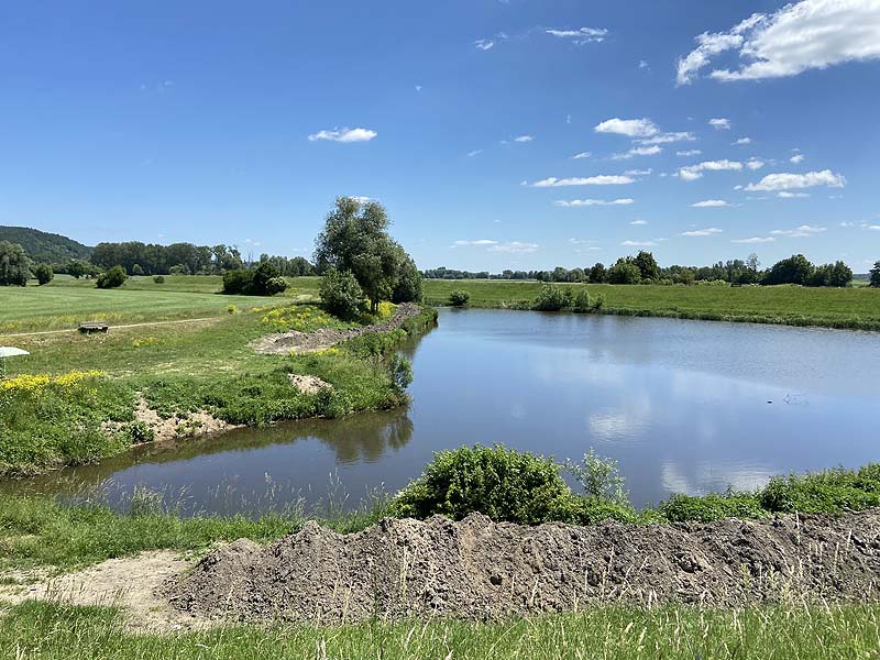 Der Badesee Oberachdorfer Weiher bei Regensburg