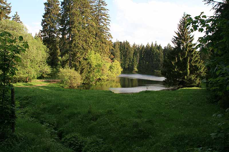 Ochsenbacher Teich (Ilmenau, Thüringen)