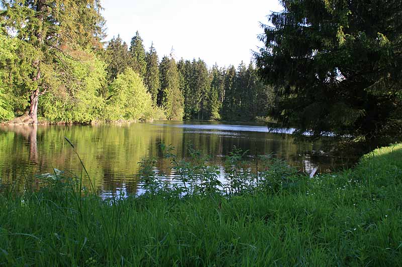 Ochsenbacher Teich (Ilmenau, Thüringen)