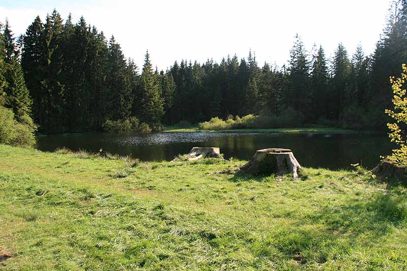 Ochsenbacher Teich (Ilmenau, Thüringen)