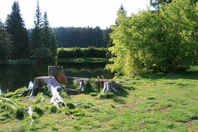 Ochsenbacher Teich (Ilmenau, Thüringen)