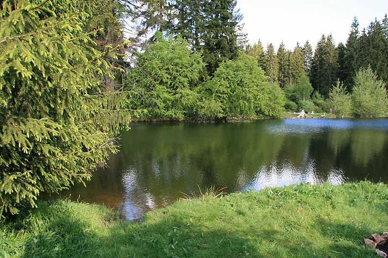 Ochsenbacher Teich (Ilmenau, Thüringen)