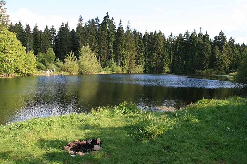 Ochsenbacher Teich (Ilmenau, Thüringen)