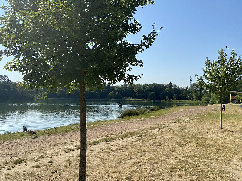 Der Badesee Opfinger Baggersee in Freiburg