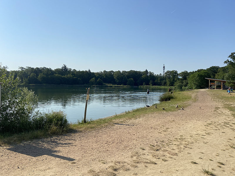 Der Badesee Opfinger Baggersee in Freiburg