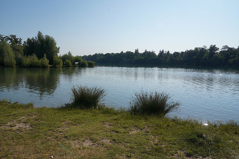 Der Badesee Opfinger Baggersee in Freiburg