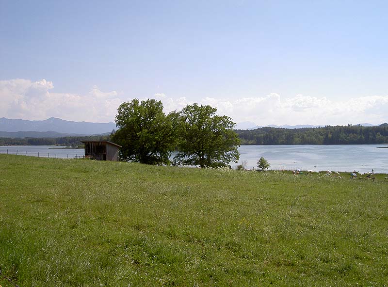 Großer Ostersee & Fohnsee (Bayern)