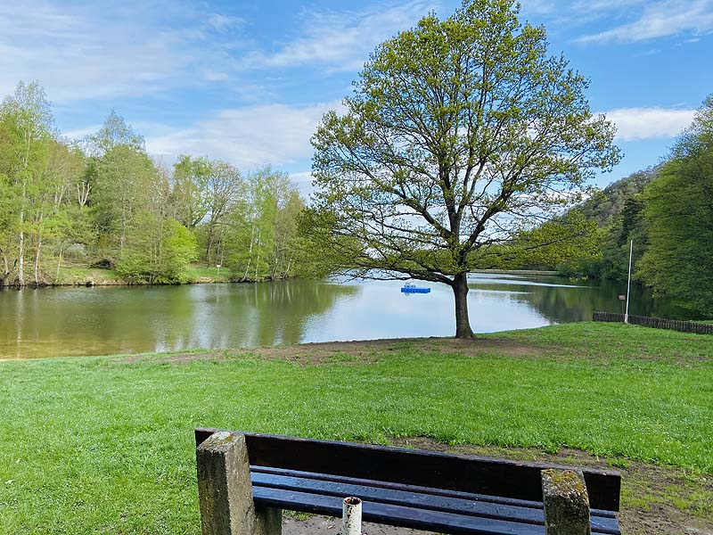 Der Osterteich in Gernrode, Sachsen-Anhalt