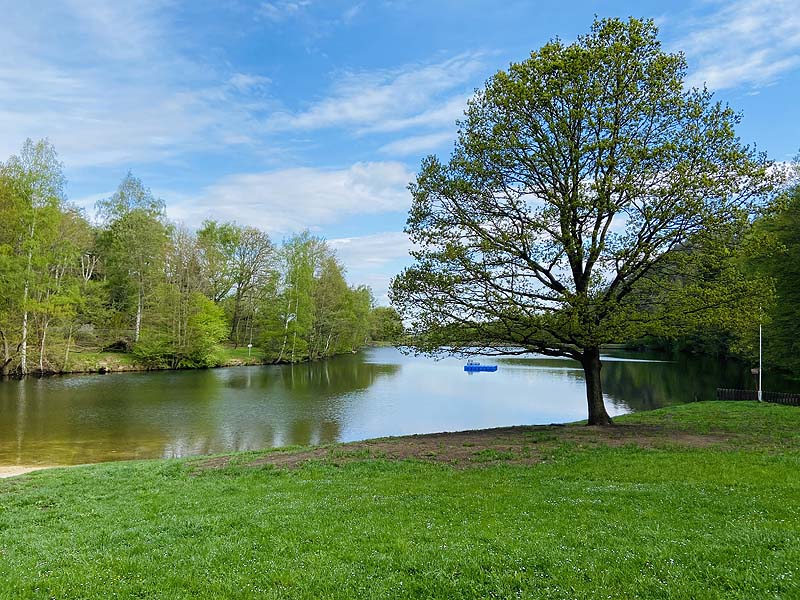 Der Osterteich in Gernrode, Sachsen-Anhalt