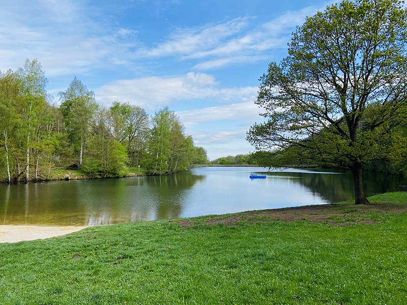 Der Osterteich in Gernrode, Sachsen-Anhalt