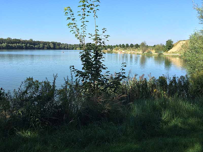 Naturfreibad Pocking (Pocking, Bayern)