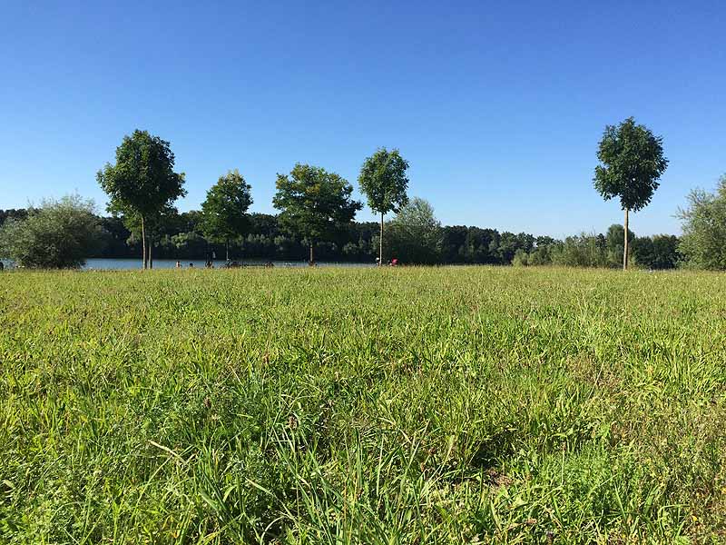 Naturfreibad Pocking (Pocking, Bayern)