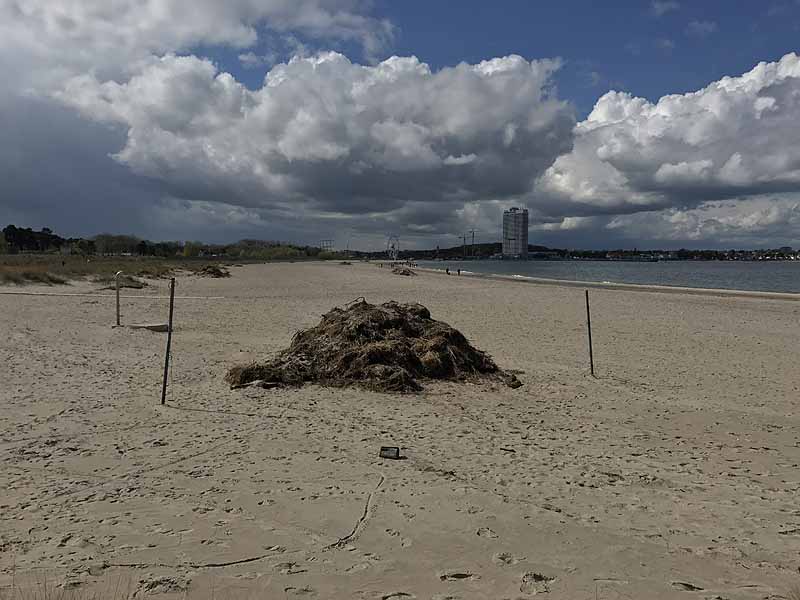 Ostseestrand (Priwall, Schleswig-Holstein)