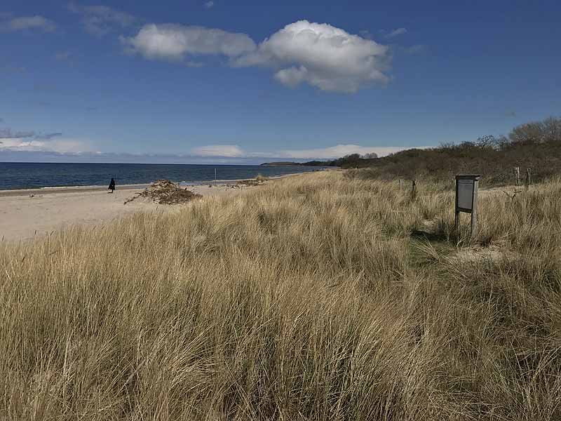 Ostseestrand (Priwall, Schleswig-Holstein)