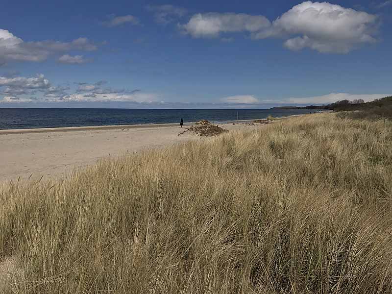 Ostseestrand (Priwall, Schleswig-Holstein)