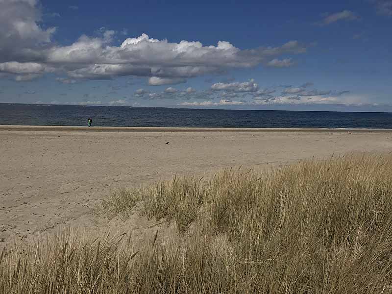 Ostseestrand (Priwall, Schleswig-Holstein)