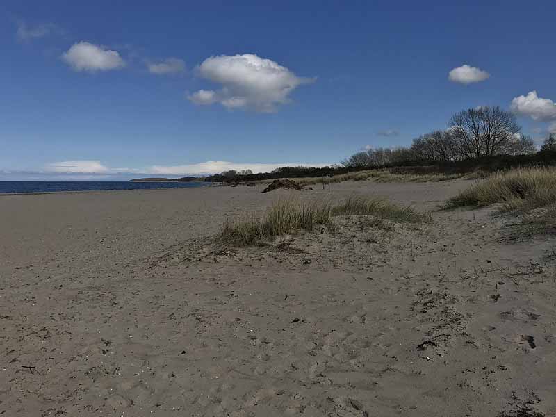 Ostseestrand (Priwall, Schleswig-Holstein)