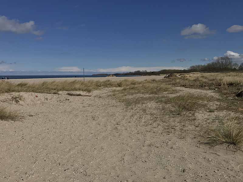 Ostseestrand (Priwall, Schleswig-Holstein)