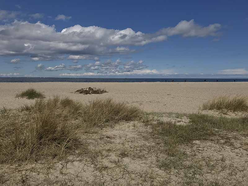 Ostseestrand (Priwall, Schleswig-Holstein)