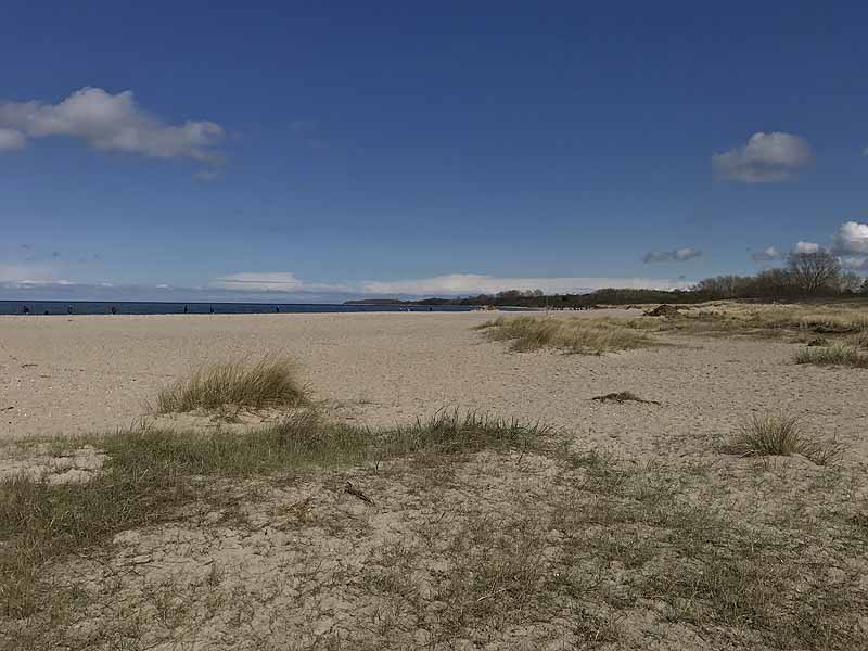 Ostseestrand (Priwall, Schleswig-Holstein)