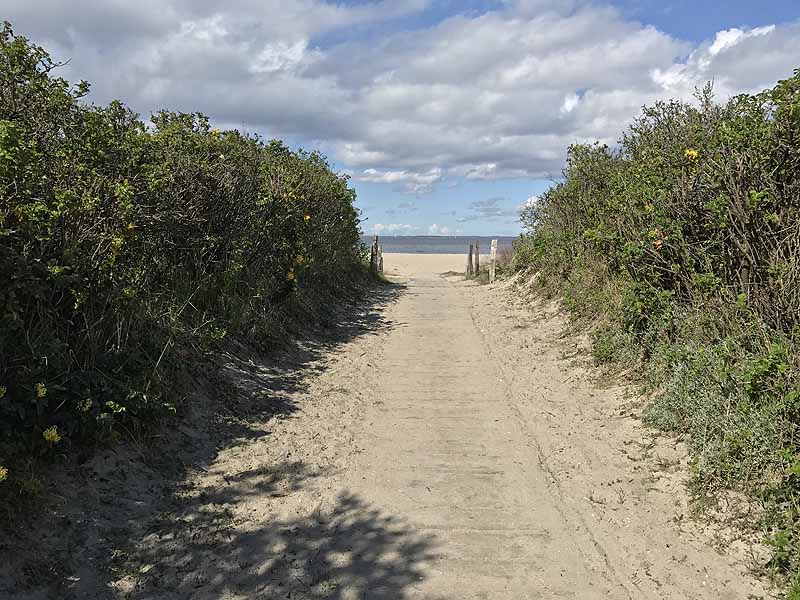 Ostseestrand (Priwall, Schleswig-Holstein)