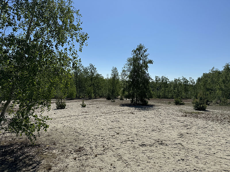 Der Badesee Prößdorfer See in Thüringen