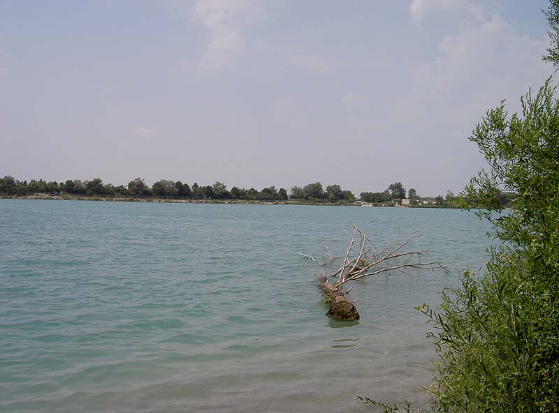 Pullinger Weiher (Pulling, Bayern)