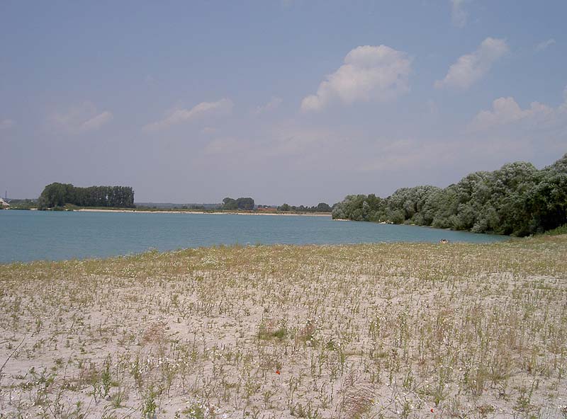 Pullinger Weiher (Pulling, Bayern)