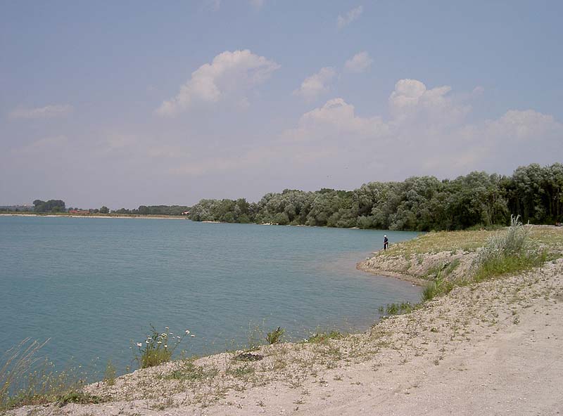 Pullinger Weiher (Pulling, Bayern)