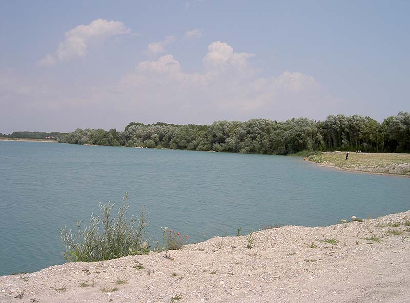 Pullinger Weiher (Pulling, Bayern)