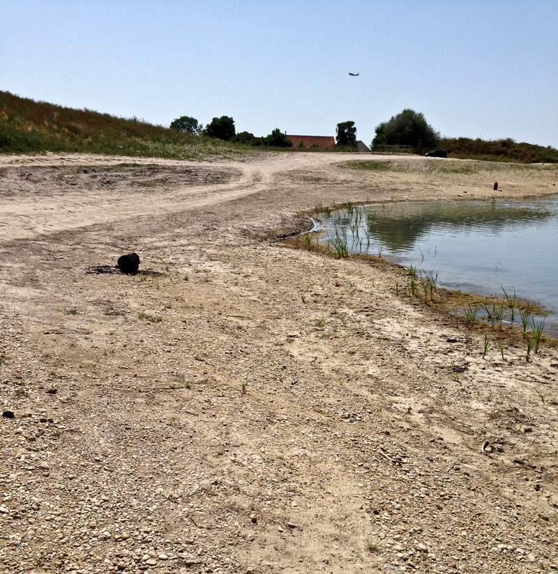 Pullinger Weiher (Pulling, Bayern)