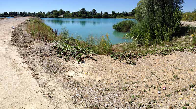 Pullinger Weiher (Pulling, Bayern)