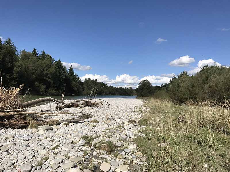 Pupplinger Au Süd (Waldram, Bayern)