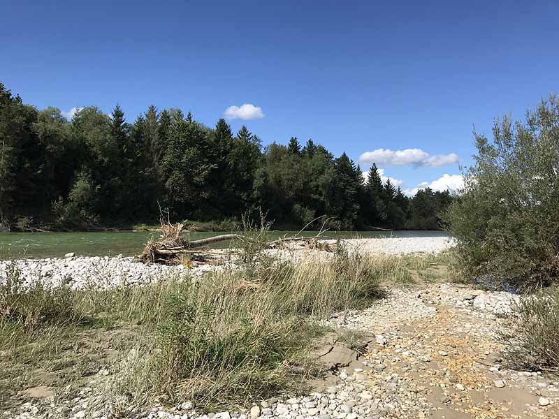 Pupplinger Au Süd (Waldram, Bayern)