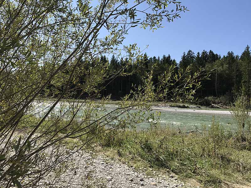 Pupplinger Au Süd (Waldram, Bayern)