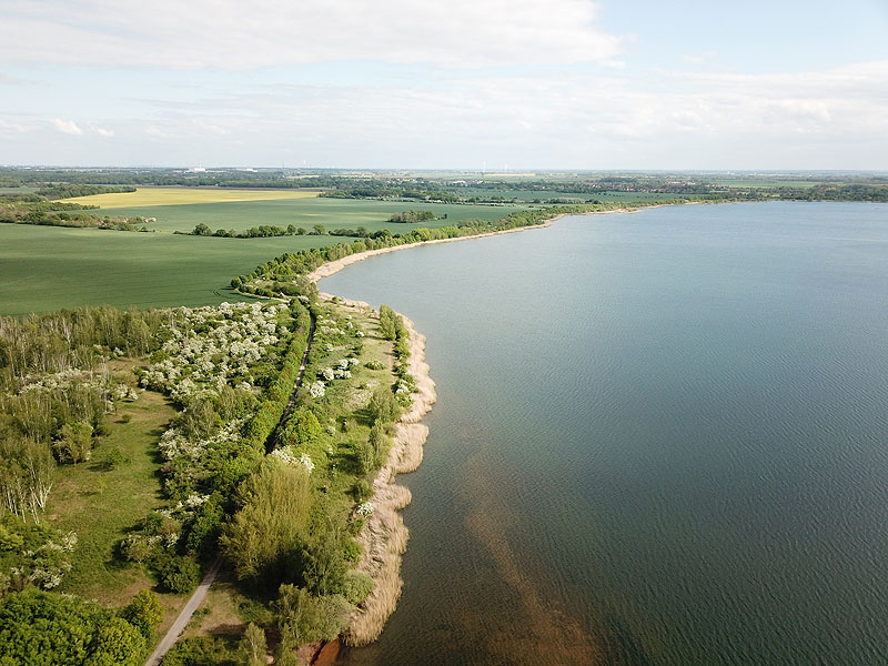 Raßnitzer See (Schkopau, Sachsen-Anhalt)