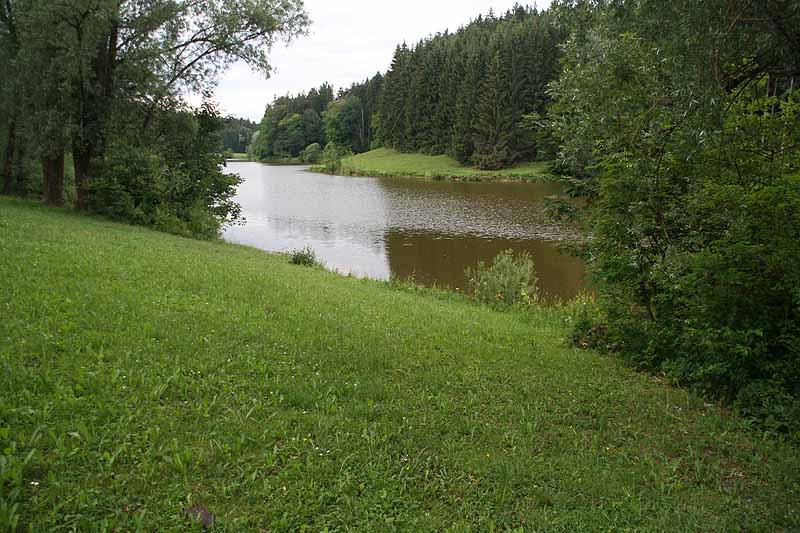 Rehnmühlenstausee (Durlangen, Baden-Württemberg)