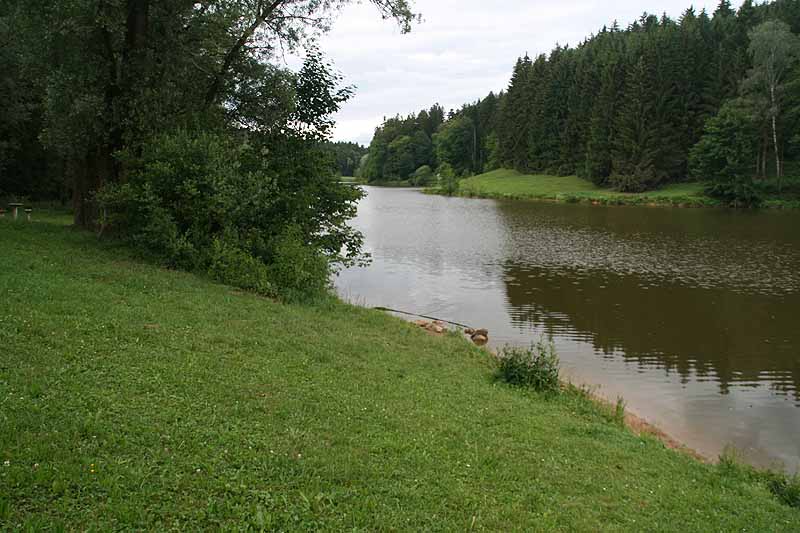 Rehnmühlenstausee (Durlangen, Baden-Württemberg)