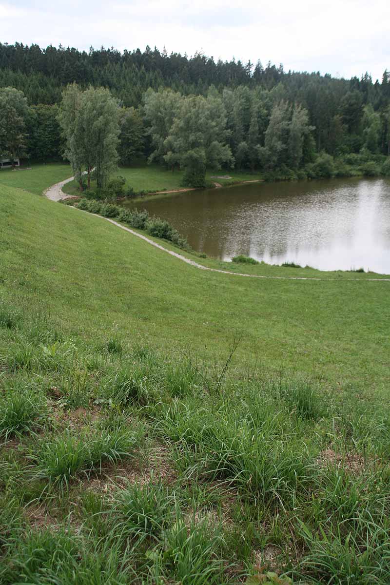 Rehnmühlenstausee (Durlangen, Baden-Württemberg)