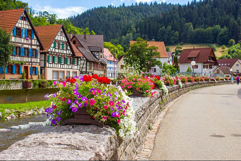 Schwarzwald