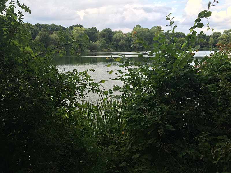 46+ Sieben Meter Teich Fkk, Wegen des guten einstiegs und der