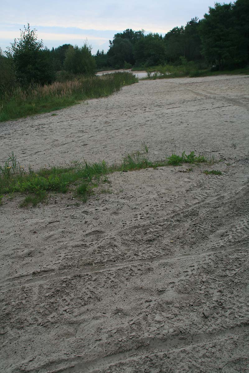 Sachsendorfer Badesee (Cottbus, Brandenburg)