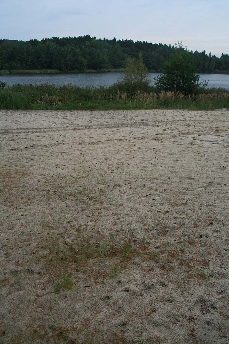Sachsendorfer Badesee (Cottbus, Brandenburg)