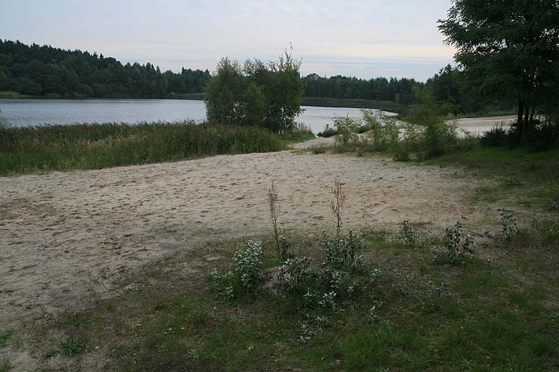 Sachsendorfer Badesee (Cottbus, Brandenburg)