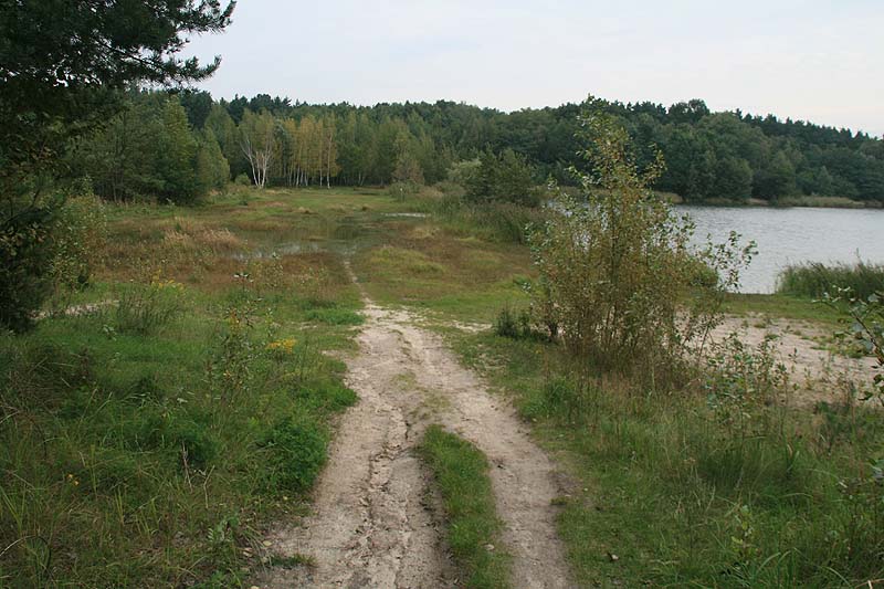 Sachsendorfer Badesee (Cottbus, Brandenburg)