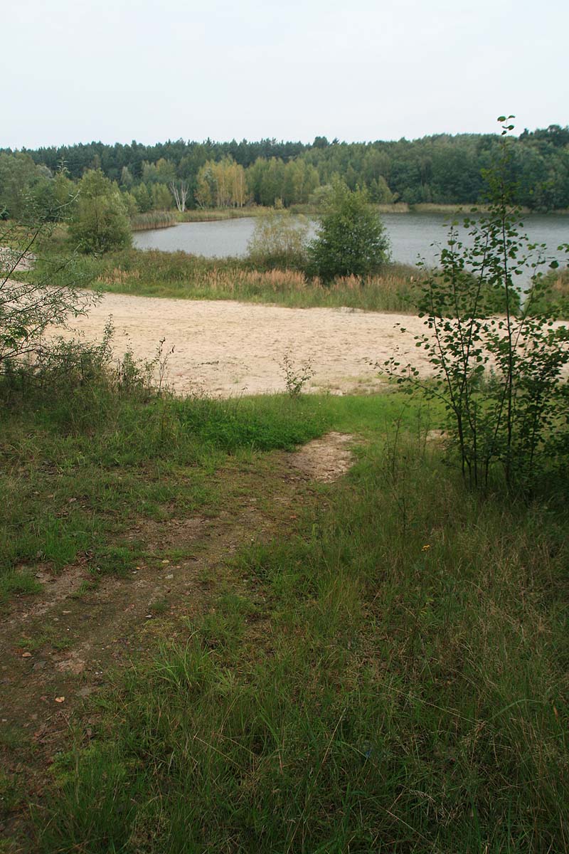 Sachsendorfer Badesee (Cottbus, Brandenburg)