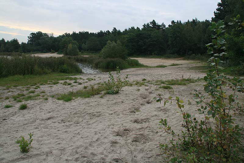 Sachsendorfer Badesee (Cottbus, Brandenburg)