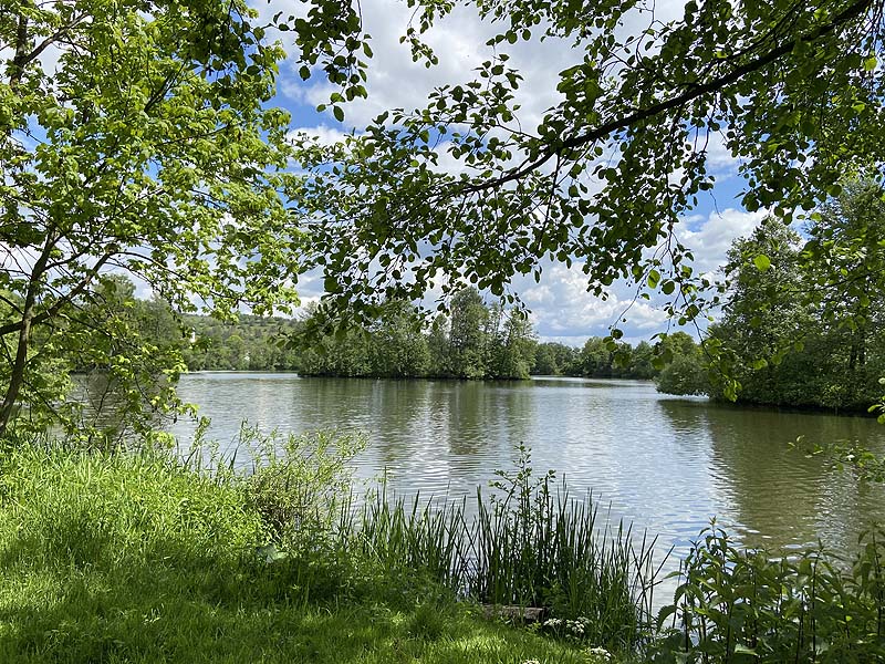 Der Badesee Naturbad Saltendorf in Teublitz